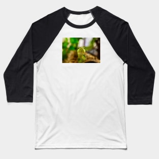 Snake Kiss / Swiss Artwork Photography Baseball T-Shirt